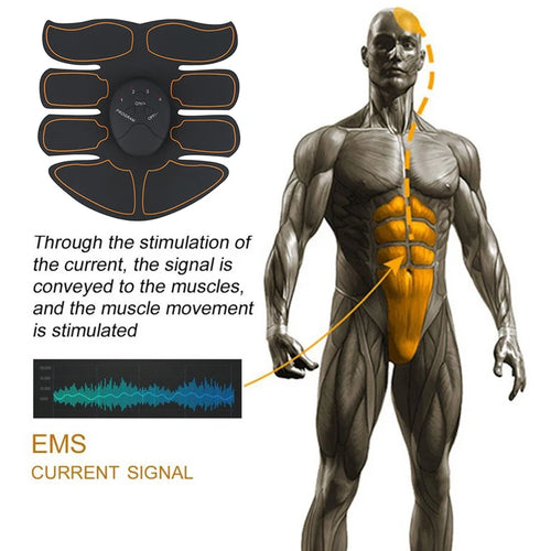 FlexTone EMS Trainer